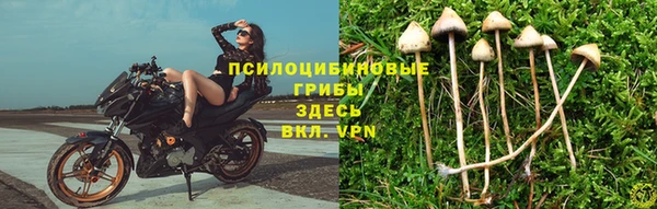 меф Армянск