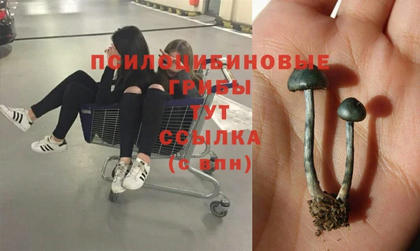 а пвп мука Балахна