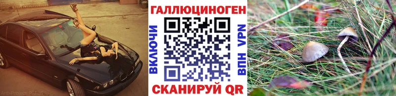 Галлюциногенные грибы Psilocybe  MEGA ТОР  Кологрив 